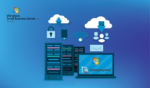 Windows Small Business Server 2011 Standard Automatisk hantering av domännamnet