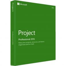 Project Professional 2016, image 
