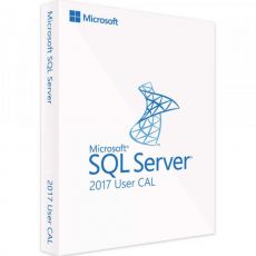 SQL Server Standard 2017 - 50 User CALs